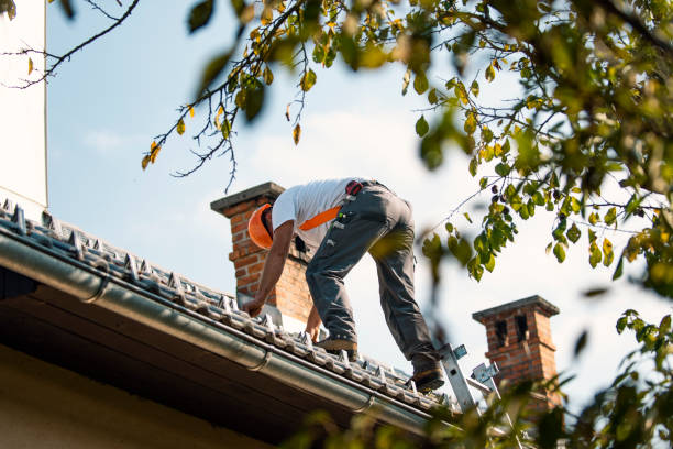 Best Storm Damage Roof Repair  in Palmyra, IN