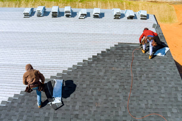 Best Roof Leak Repair  in Palmyra, IN